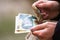 Girl hands counting money, counting Romanian LEI currency, close up