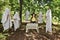 The girl has gathered ghosts around the table and invites them to a festive dinner on Halloween