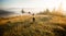 Girl with hat run with happiness on top of a mountain in autumn sunrise.