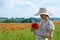 A girl in a hat stands in a blooming field, collects a bouquet of poppies