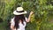 Girl in a hat in the vineyard. Beautiful woman on a grape farm in italy. Harvest concept, beautiful holi tuscany.