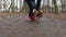 Girl and her dog playing in a park in autumn or spring.