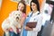 Girl with her Maltese dog and veterinarian at vet ambulant