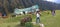 Girl with her pet dog is having day out at Aru Valley in Pahalgam, Kashmir, India