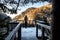 Girl hiker looking from lookoout in Kvacianska valley during winter season