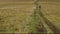 A girl hiker walks along a dirt road. The hill is covered with yellow-green grass. The concept of hiking