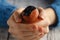 Girl hold bullfinch bird in hands