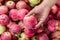 Girl holding an Apple in hand against the fruits.