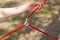 The girl is holding an arc from the tent. Close up detail of camping tent. Aluminum tent poles. Process of installing tent, settin