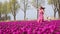 Girl holding bouquet colorful tulips flowers and standing on purple tulip fields.