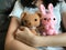 A girl holding brown teddy bear ans pink bunny crochet doll