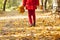 Girl holding colorful leaves in the park