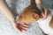 A girl holding a dog`s head, close up