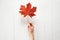 A girl is holding a fallen red color maple leaf on a white background. Autumn or Canadian concept. Top view
