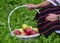 Girl holding fresh harvested apples in a basket