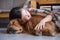 Girl holding the Golden Retriever to sleep