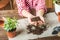 The girl is holding the ground. A girl in a plaid shirt will transplant potted plants at home. Land, seedlings, hands