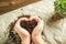 The girl is holding the ground. The girl will transplant potted plants at home. Earth, seedling, Spring, hands, the concept of pro