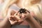 Girl holding a large spider on hands