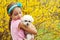 Girl holding Maltese dog by Forsythia bush