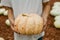 Girl holding medium sized bumpy pumpkin