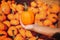 Girl holding medium sized bumpy pumpkin