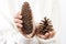 Girl holding pine cones. Woman hand holding pine cone