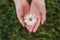 the girl is holding a pure bright chamomile flower, an organic natural product on a green