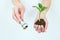 The girl is holding a seedling with the earth and twisting American money