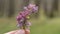 Girl holding a small field flower in her hand