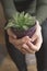 A girl holding a succulent plant in hands, artistic photograph