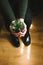 A girl holding a succulent plant in hands, artistic photograph