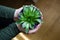 A girl holding a succulent plant in hands, artistic photograph