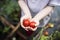 Girl Holding Tomato Vegetable Crop