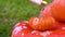 The girl holds a burning candle in her hands, molten wax drips onto an orange pumpkin.  Halloween, Thanksgiving Day, Fall, Harvest