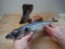 a girl holds a fish in her hands over the table