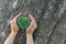 Girl holds her hands in protection gesture for saving nature. Glowing green heart between young girl hands as soul of tree.