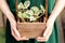 A girl holds a houseplant in a wooden box