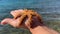 A girl holds a starfish in her palm, close-up. A starfish in a woman\\\'s hands. Marine animal, inhabitant of the Adriatic Sea