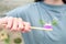 The girl holds a toothbrush with herbed toothpaste with rosemary in her hand. Selective focus on toothbrush and rosemary