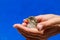 A girl holds a young sparrow in her hands