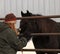 A girl with a horse