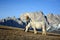 The girl and the horse in front of the Dolomites