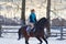 A girl on a horse jumps gallops. A girl trains riding a horse in a small paddock. A cloudy winter day