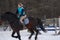 A girl on a horse jumps gallops. A girl trains riding a horse in a small paddock. A cloudy winter day