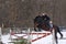 A girl on a horse jumps over the barrier. Training girl jockey riding a horse. A cloudy winter day