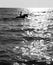 Girl and horse swimming at the sea