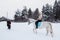 Girl, horse trainer and white horse on a winter