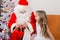 Girl with interest looks like Father Christmas helps to open her gift