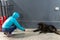 A girl in jacket feeds stray dog